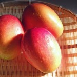 マンゴーとパパイヤの味や食べ方の違い！栄養の効果や種類も違う！？