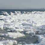 氷山と流氷の違いは大きさや質？気象庁では流氷は氷山に含まれる？