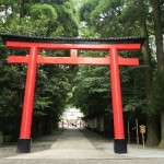 寺と神社の違い！起源や神様、建物や参拝方法の違いを比較